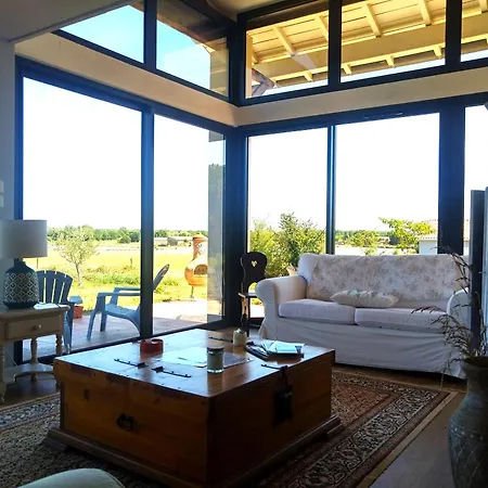 Nature Face Aux Etangs - - 4 Personnes - Jardin - Terrasse - Parking - * Montech