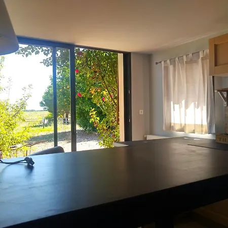 بيت للعطل Nature Face Aux Etangs - - 4 Personnes - Jardin - Terrasse - Parking - Montech