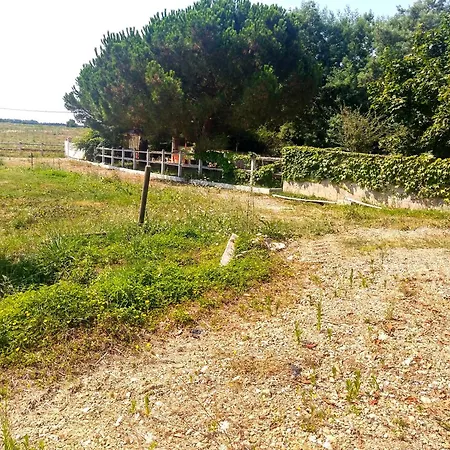 Nature Face Aux Etangs - - 4 Personnes - Jardin - Terrasse - Parking - بيت للعطل Montech